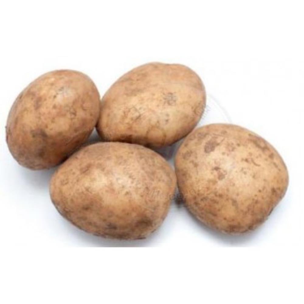 新鮮 泥土豆1kg